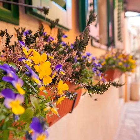 Sotto I Volti Centro Storico Guest house Rovinj